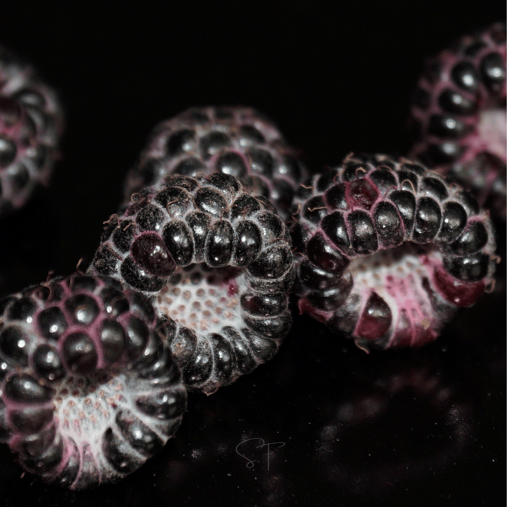 Black Raspberry – 30 Seeds