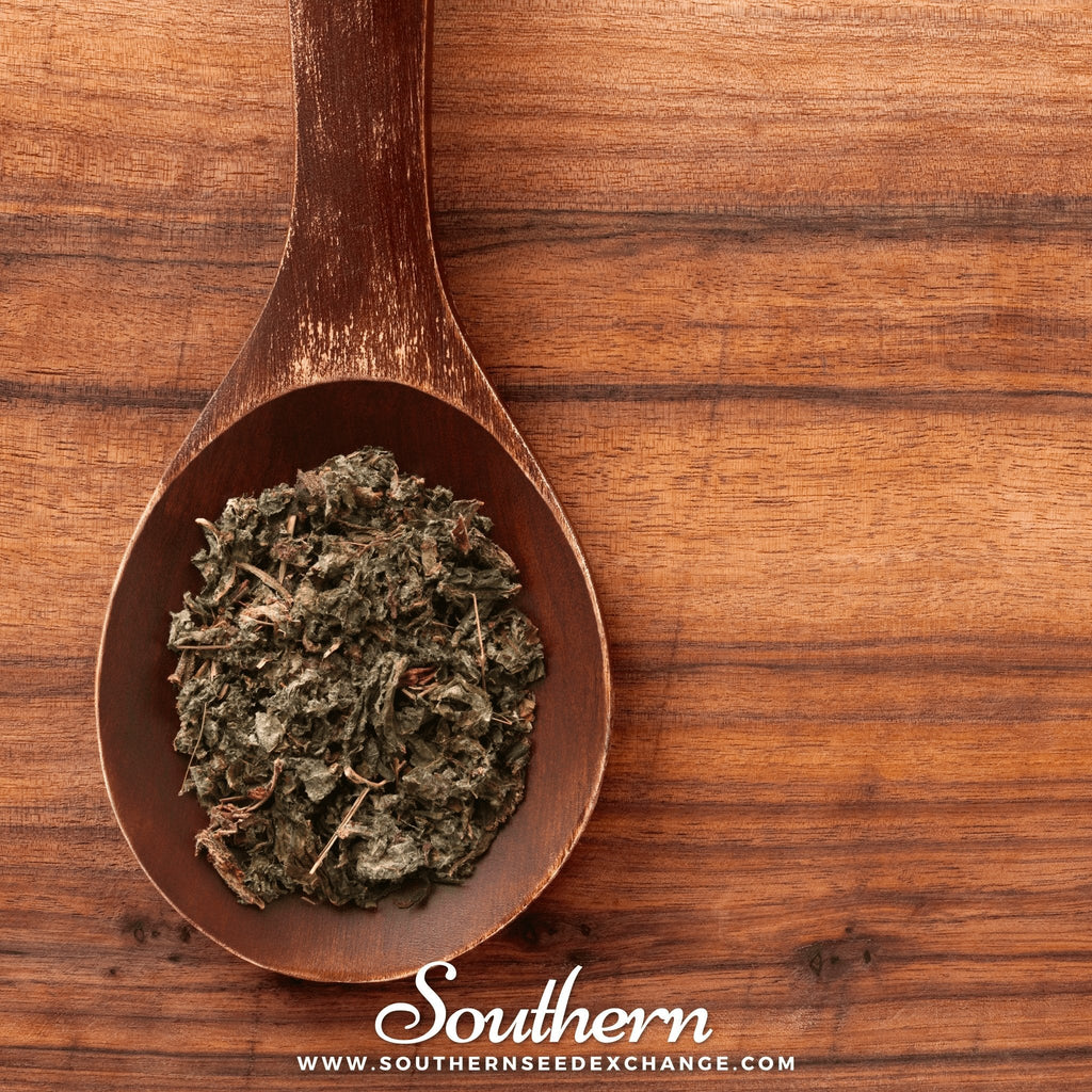 Burdock – 50 Seeds