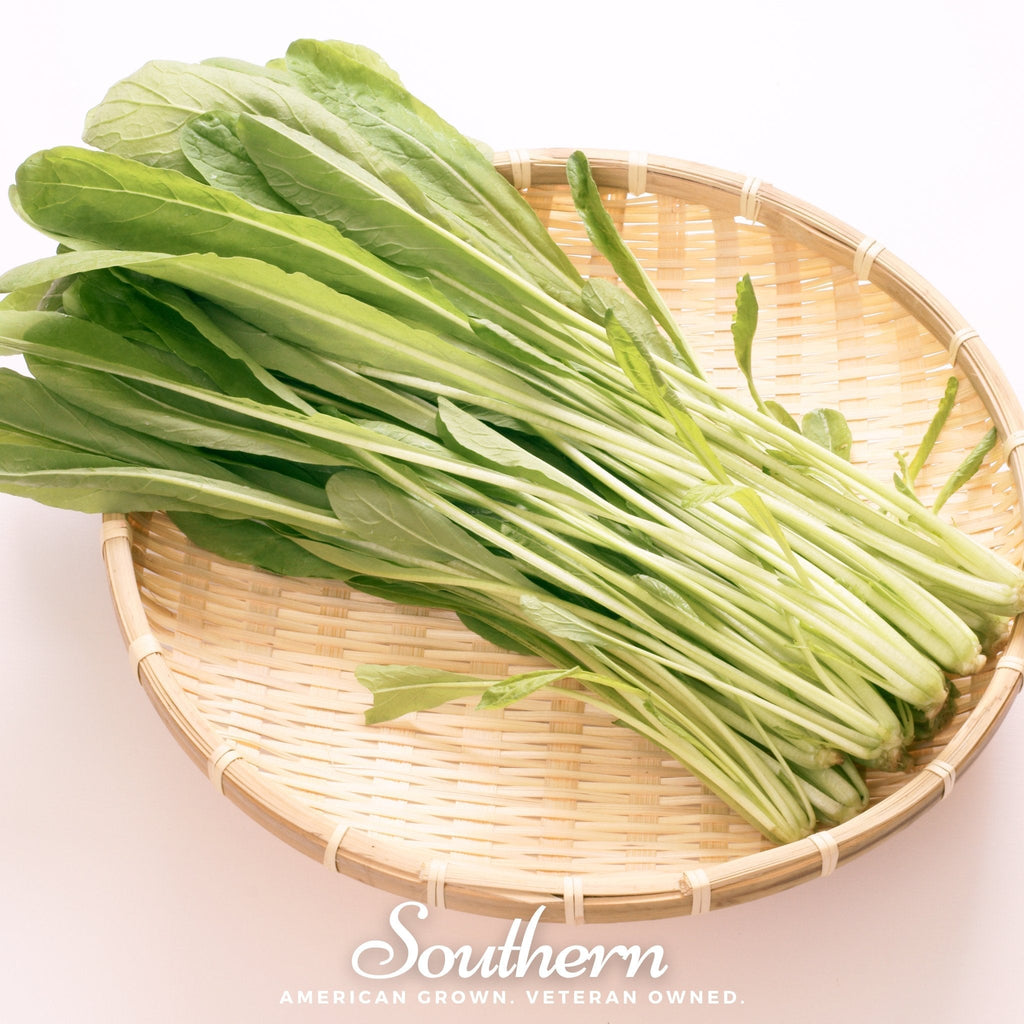 Mibuna Chinese Cabbage – 100 Seeds