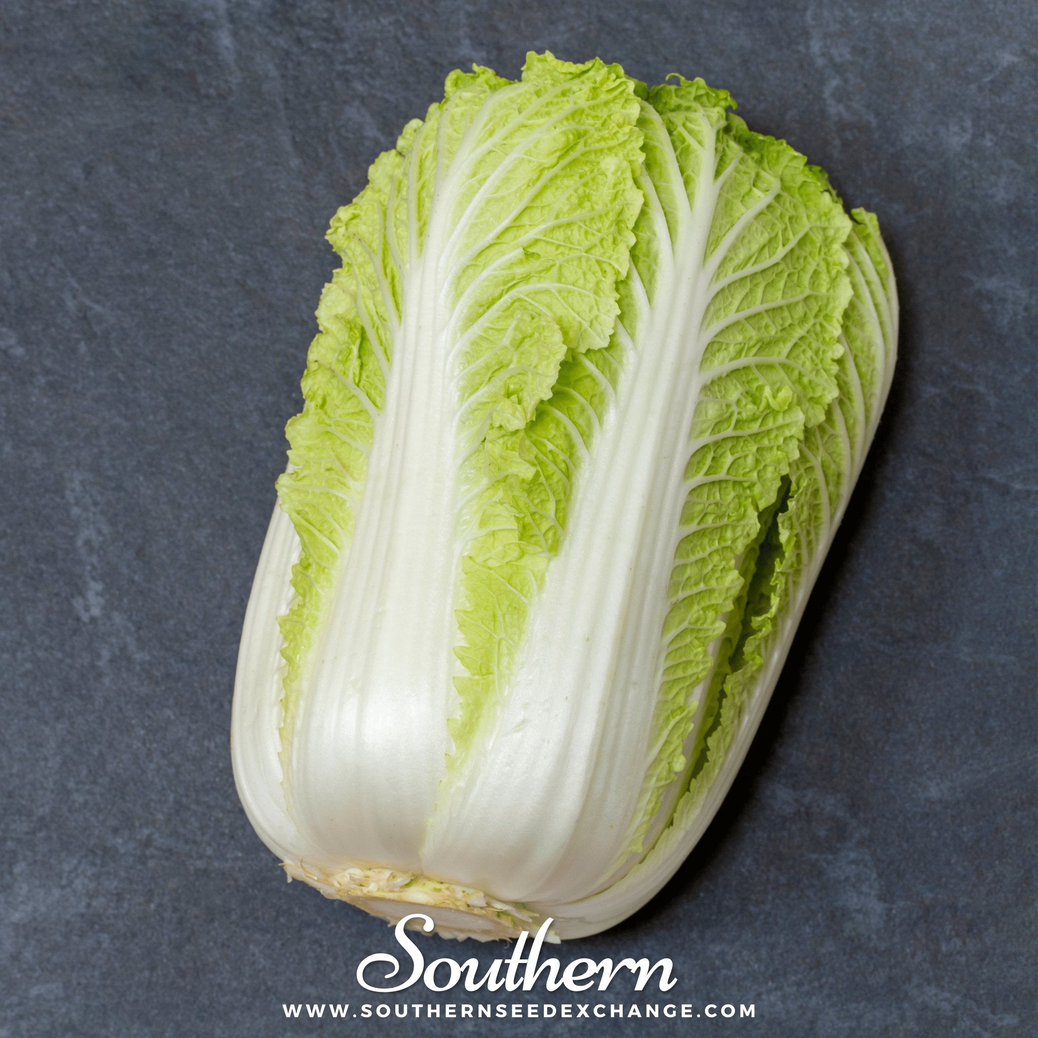 Napa Michihili Heading Cabbage – 100 Seeds