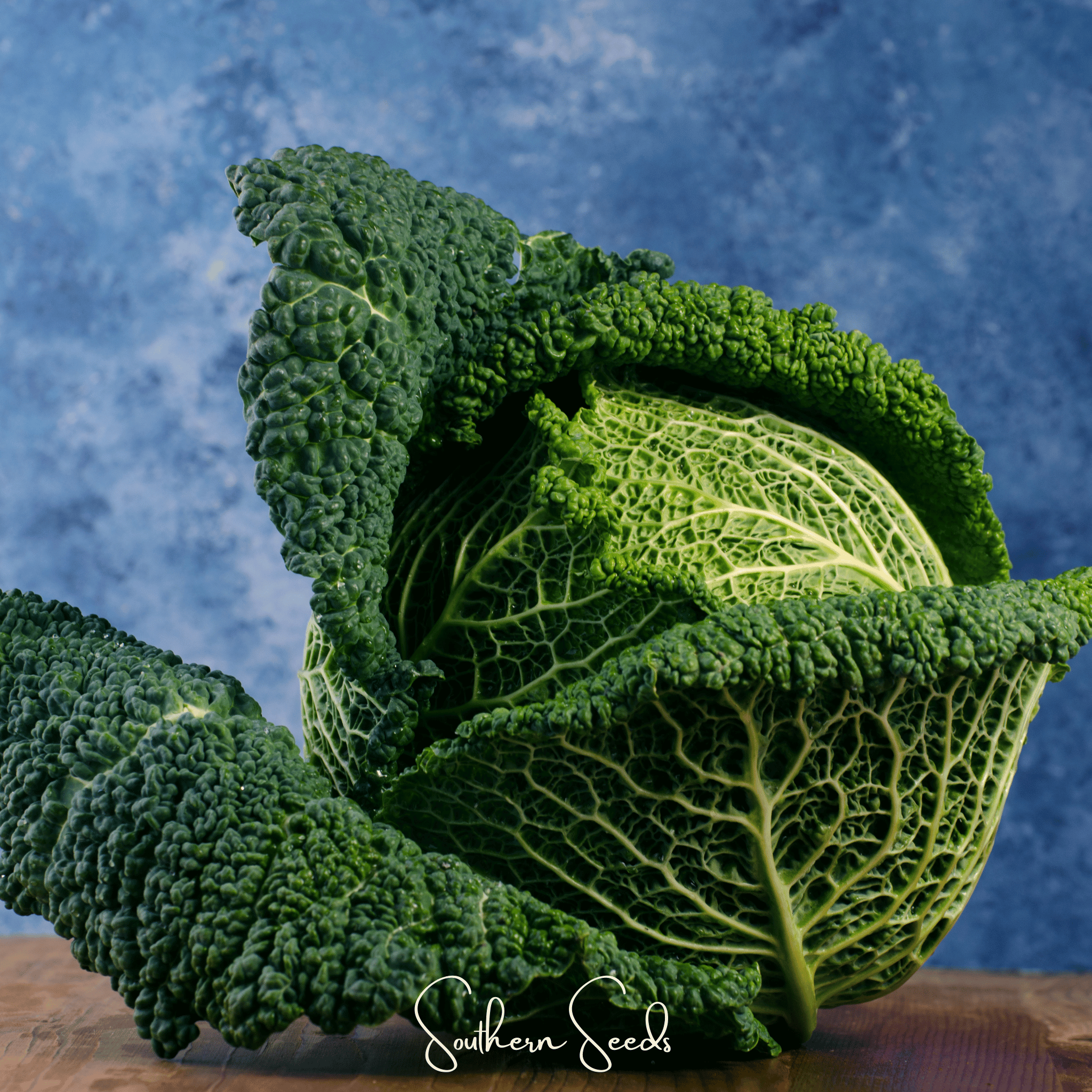 Savoy Cabbage – 100 Seeds