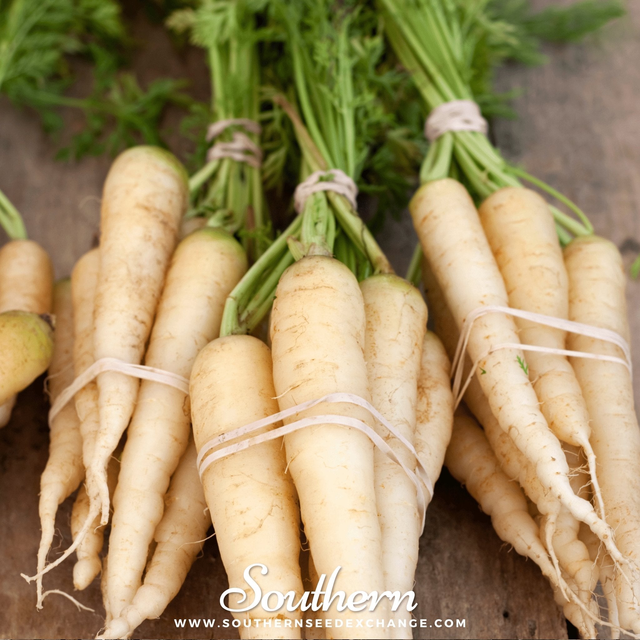 Lunar White Carrot – 250 Seeds