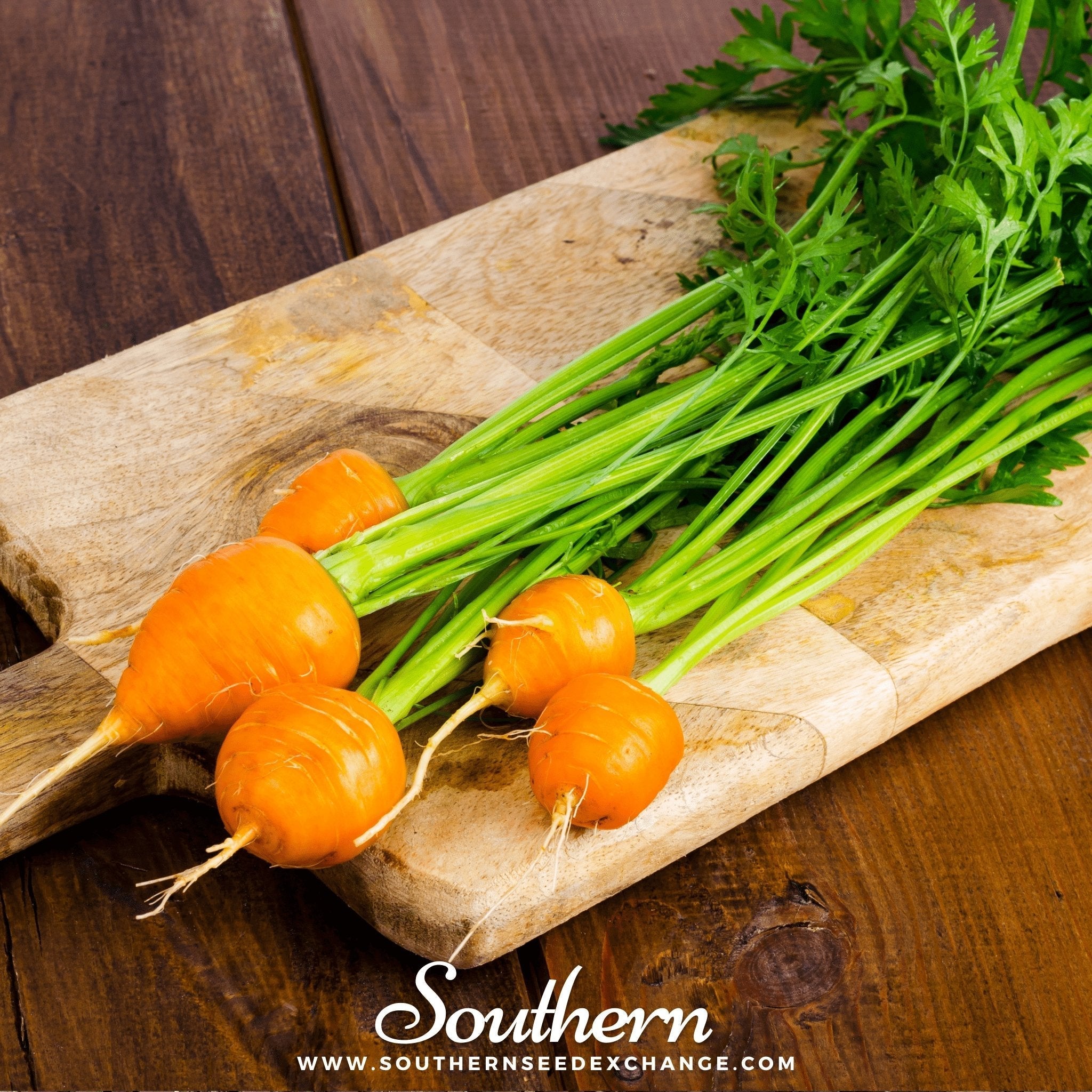 Parisian Carrot – 250 Seeds