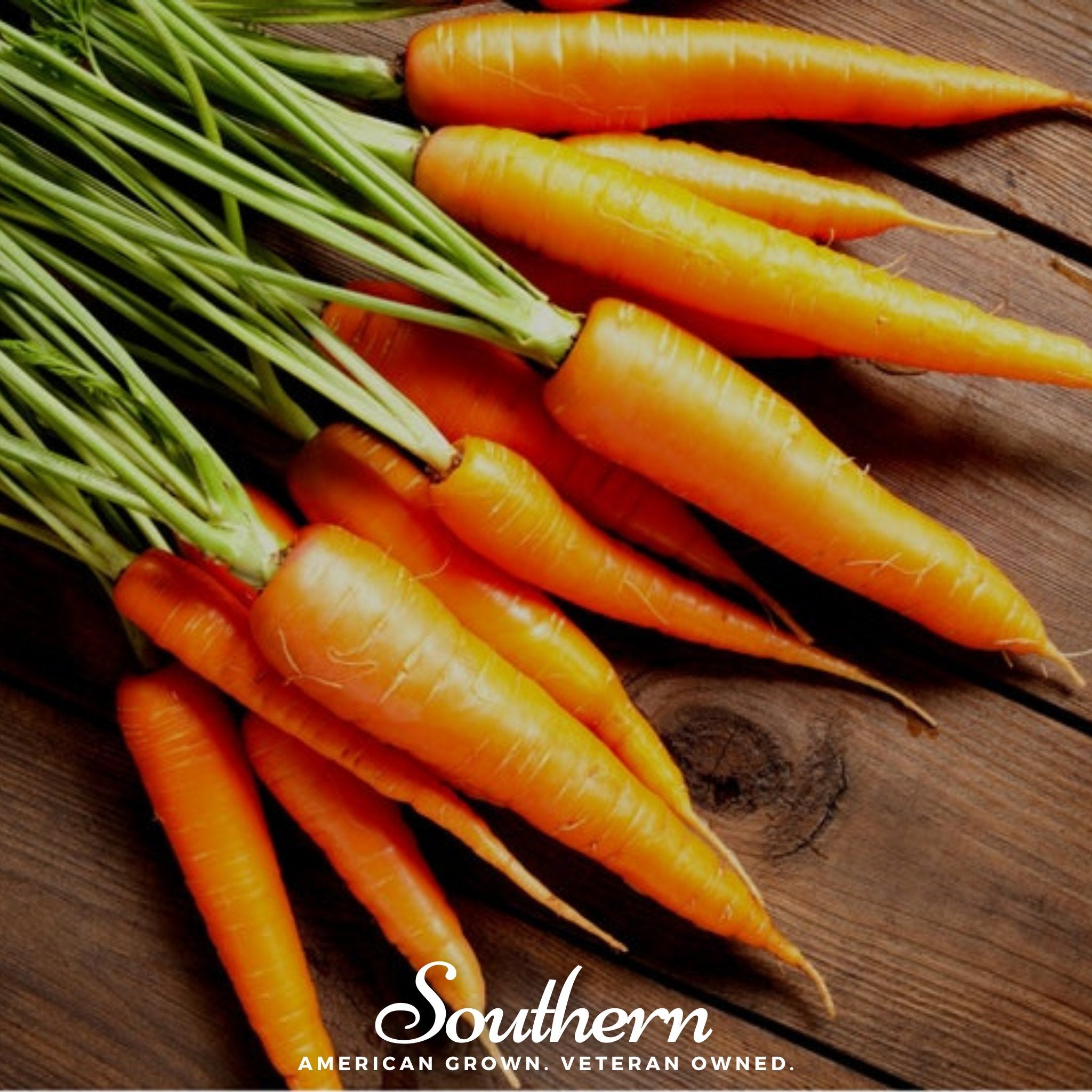 Scarlet Nantes Carrot – 250 Seeds