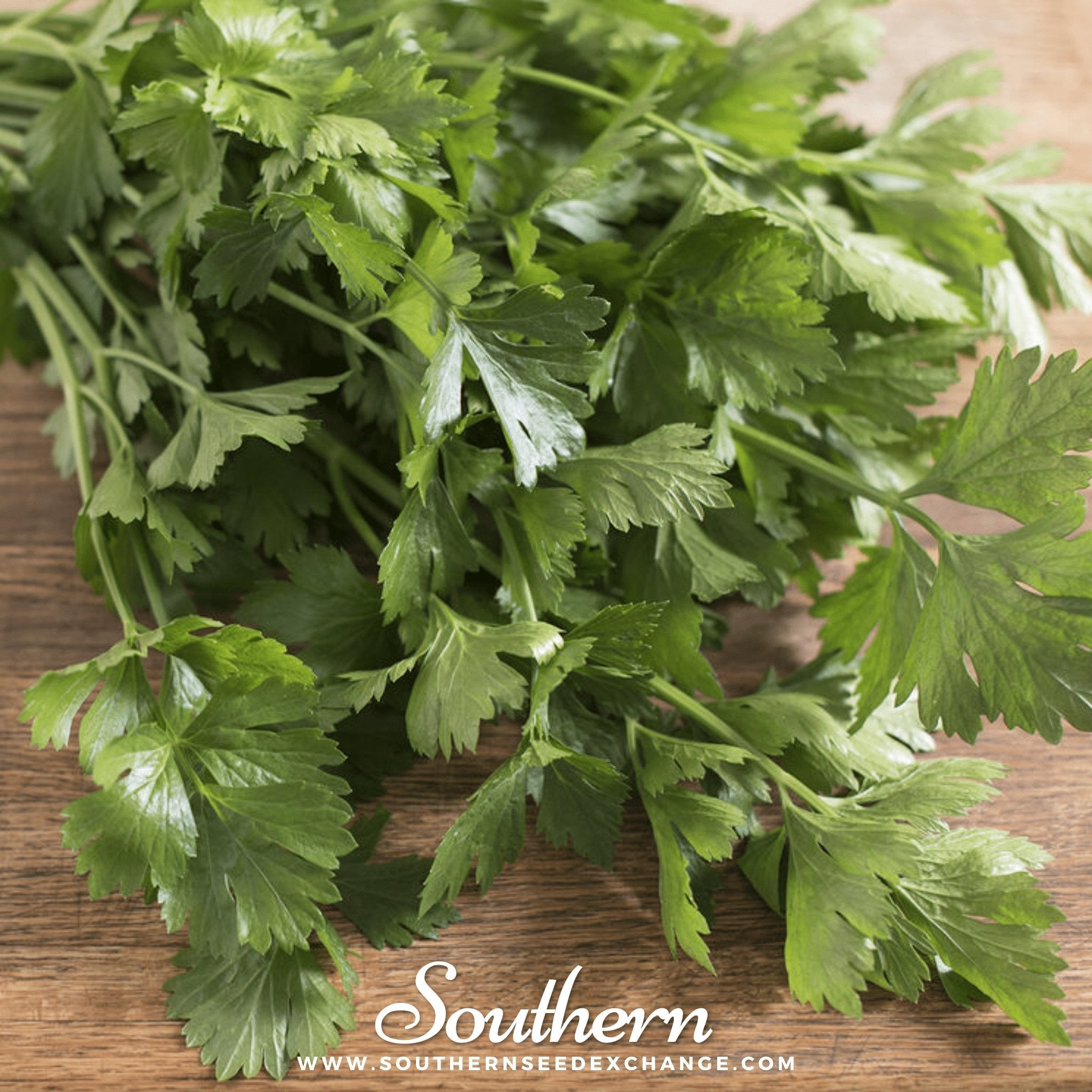 Cutting Celery – 200 Seeds
