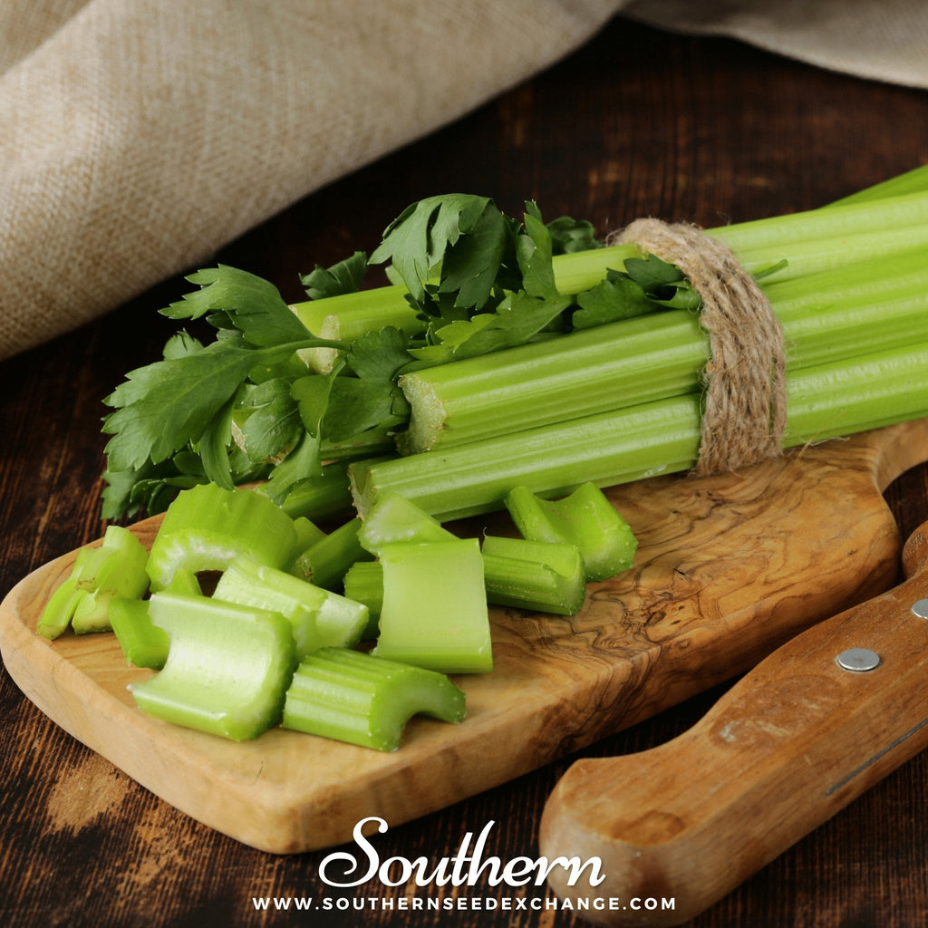 Utah 52-70 Celery – 300 Seeds