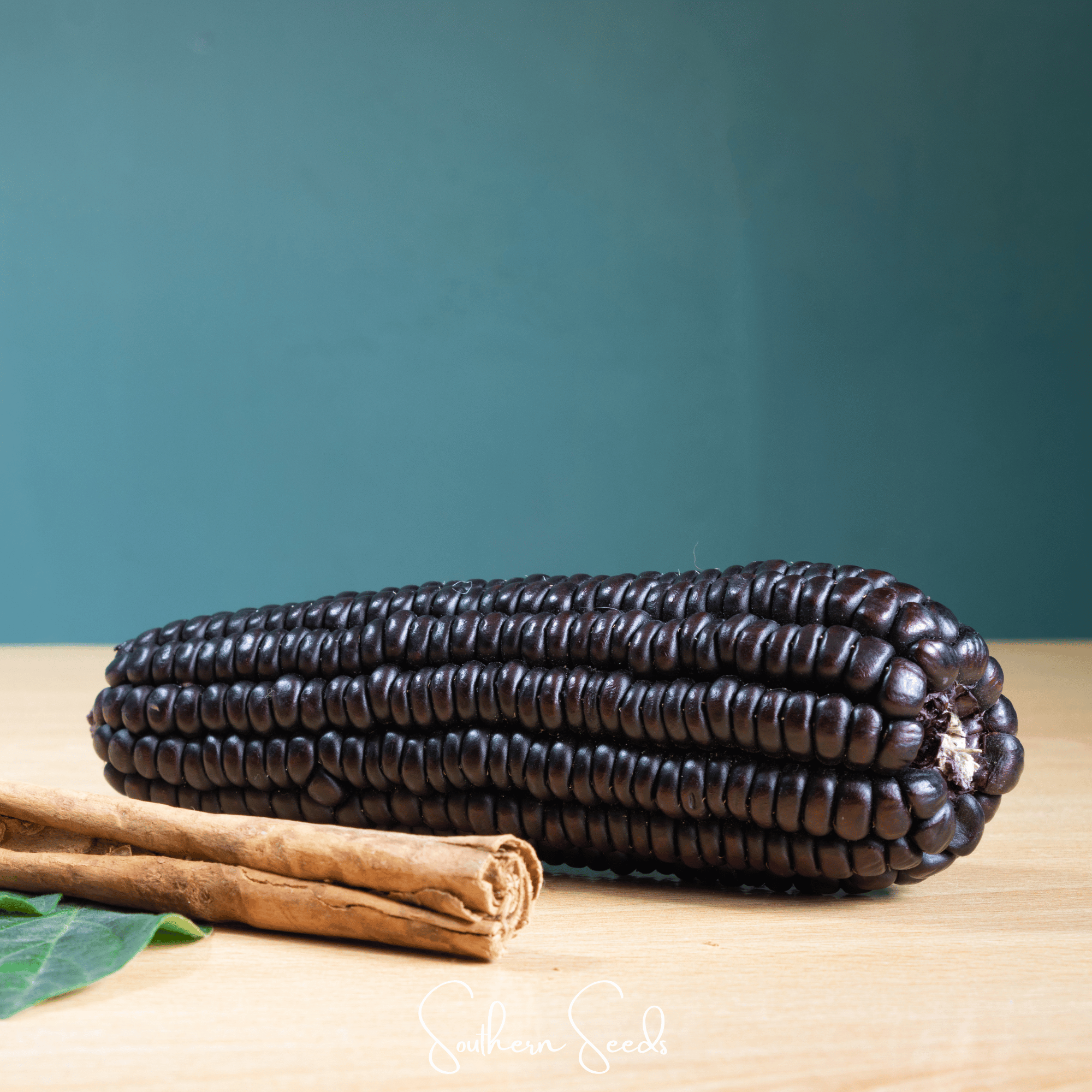 Morado Montana Maize Corn – 25 Seeds