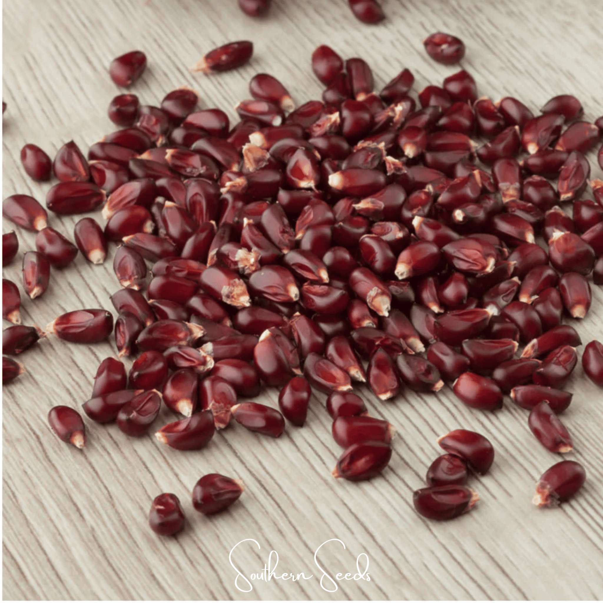 Strawberry Corn – 30 Seeds