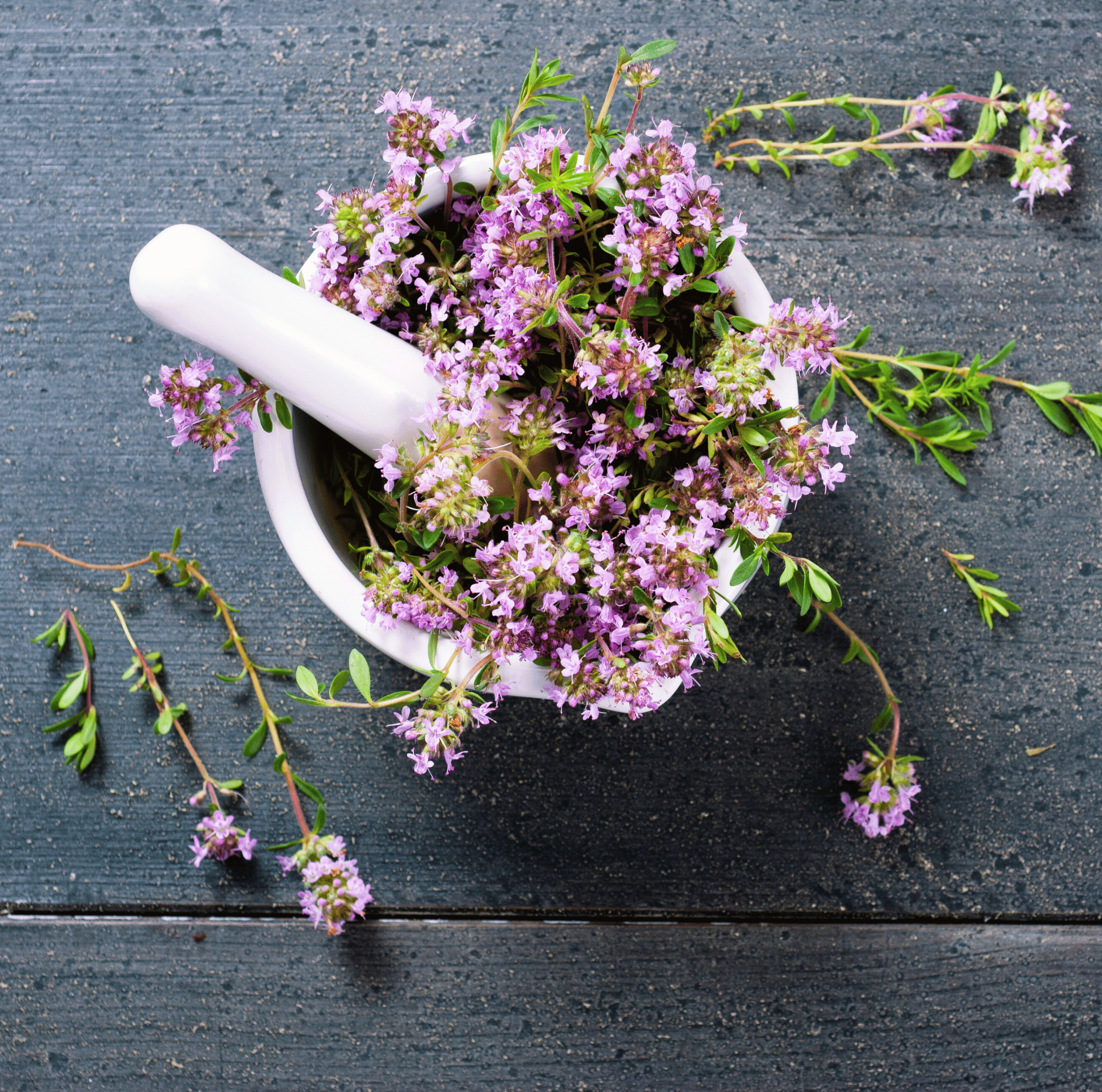 Creeping Thyme – 250 Seeds