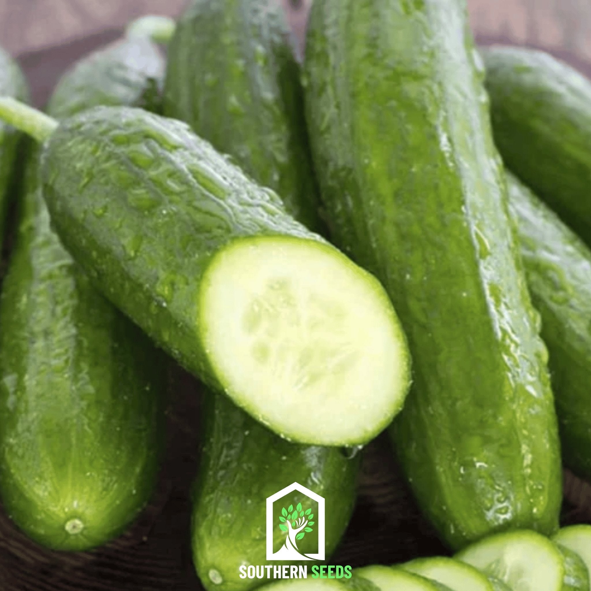 Beit Alpha Cucumber – 30 Seeds