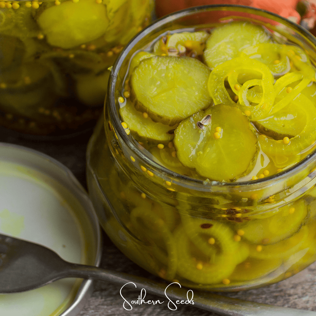 National Pickling Cucumber – 30 Seeds