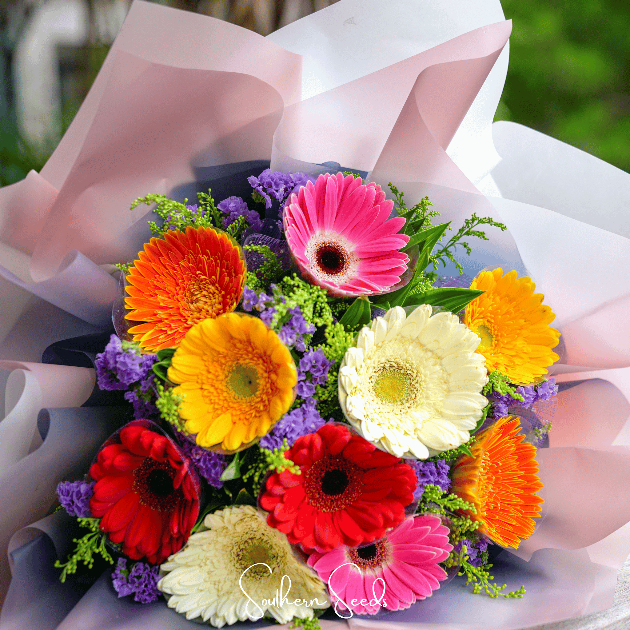 Gerbera Daisy Mix – 20 Seeds