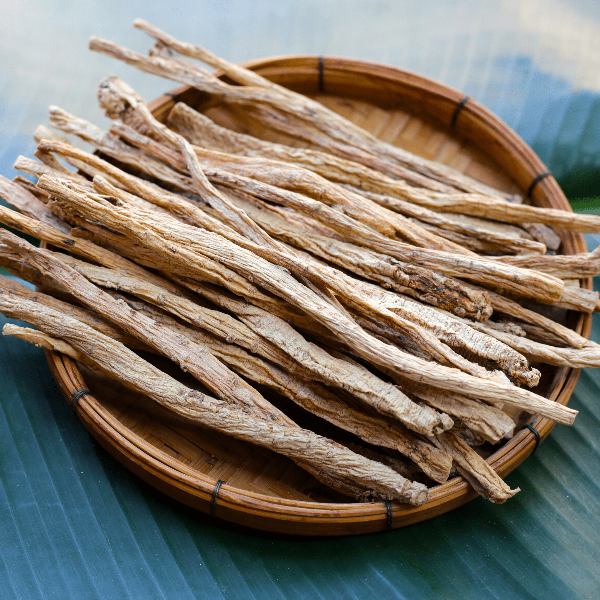 Dang-shen – 50 Seeds