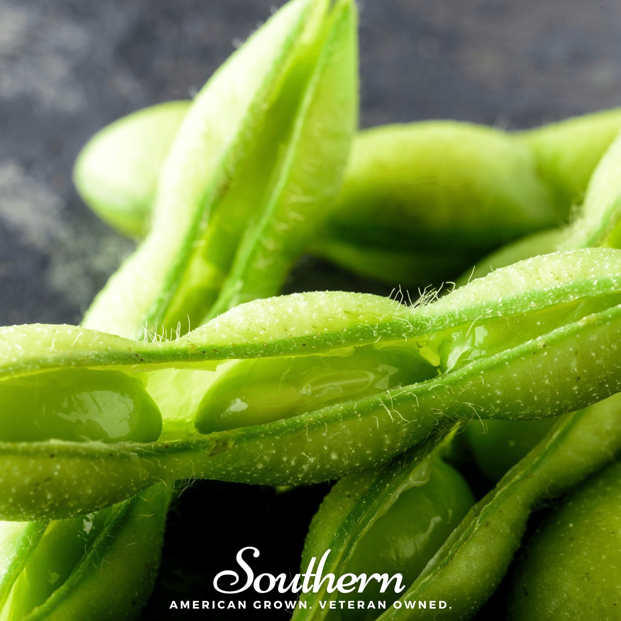 Be Sweet Edamame Soybean (Bush) – 20 Seeds
