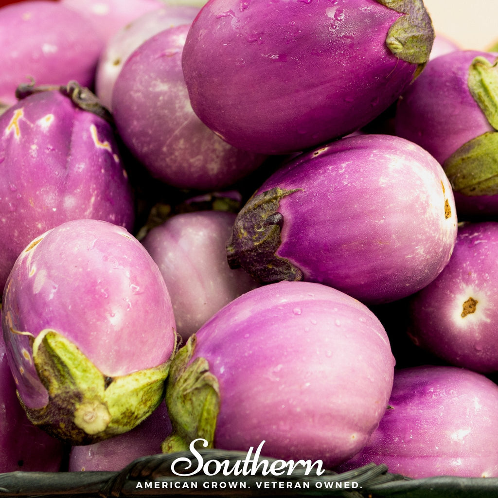 Rosa Bianca Eggplant – 50 Seeds