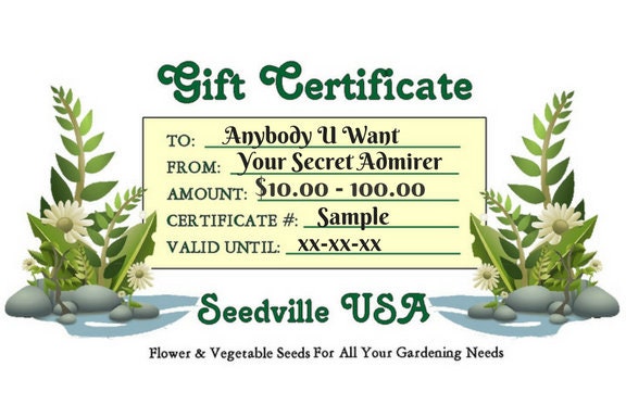 Seedville USA Shop Gift Certificate - Ferns Rock Design - By Email or Postal Mail - You Choose Amount
