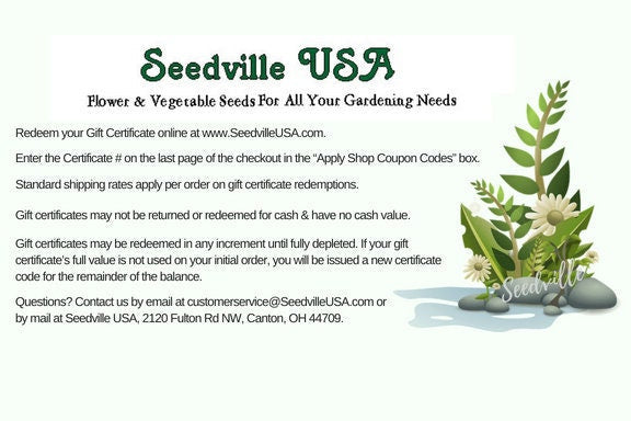 Seedville USA Shop Gift Certificate - Ferns Rock Design - By Email or Postal Mail - You Choose Amount