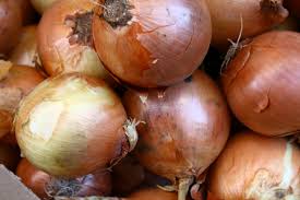 Yellow Onion Bulbs Sets Live