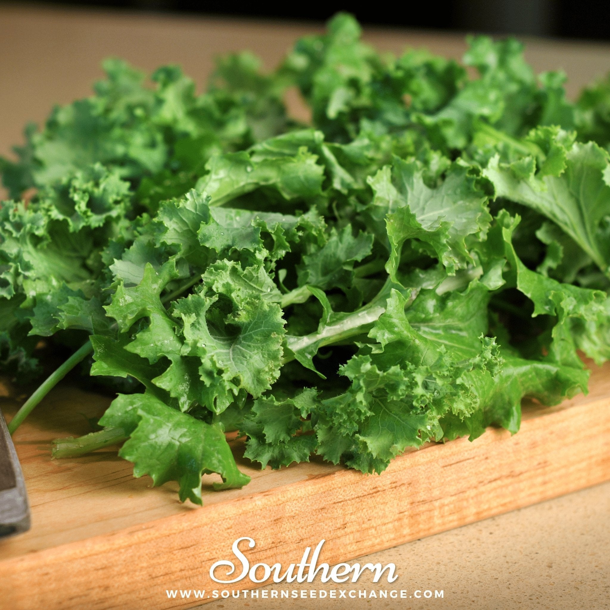 Dwarf Siberian Kale – 250 Seeds