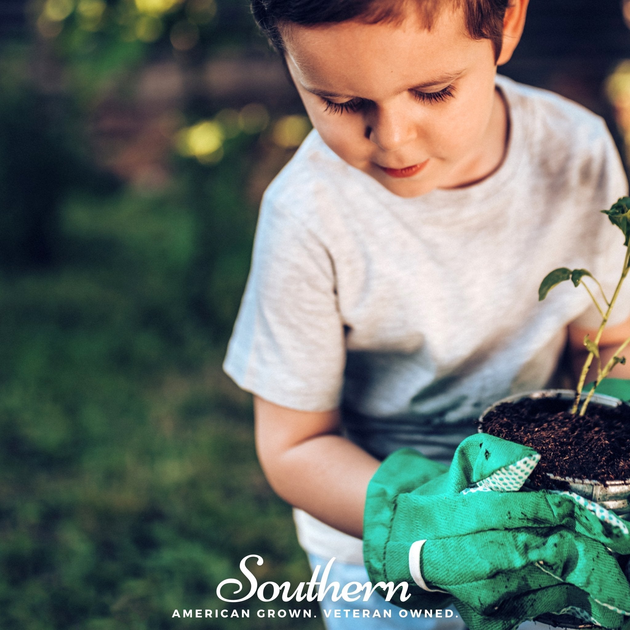 Kids Garden Seed Collection – 10 Varieties