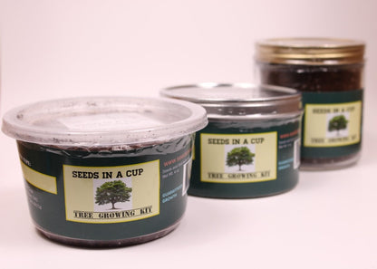 Kiwi Vine Growing Kit - Complete Vine Seed Starter Kit for Home Gardening