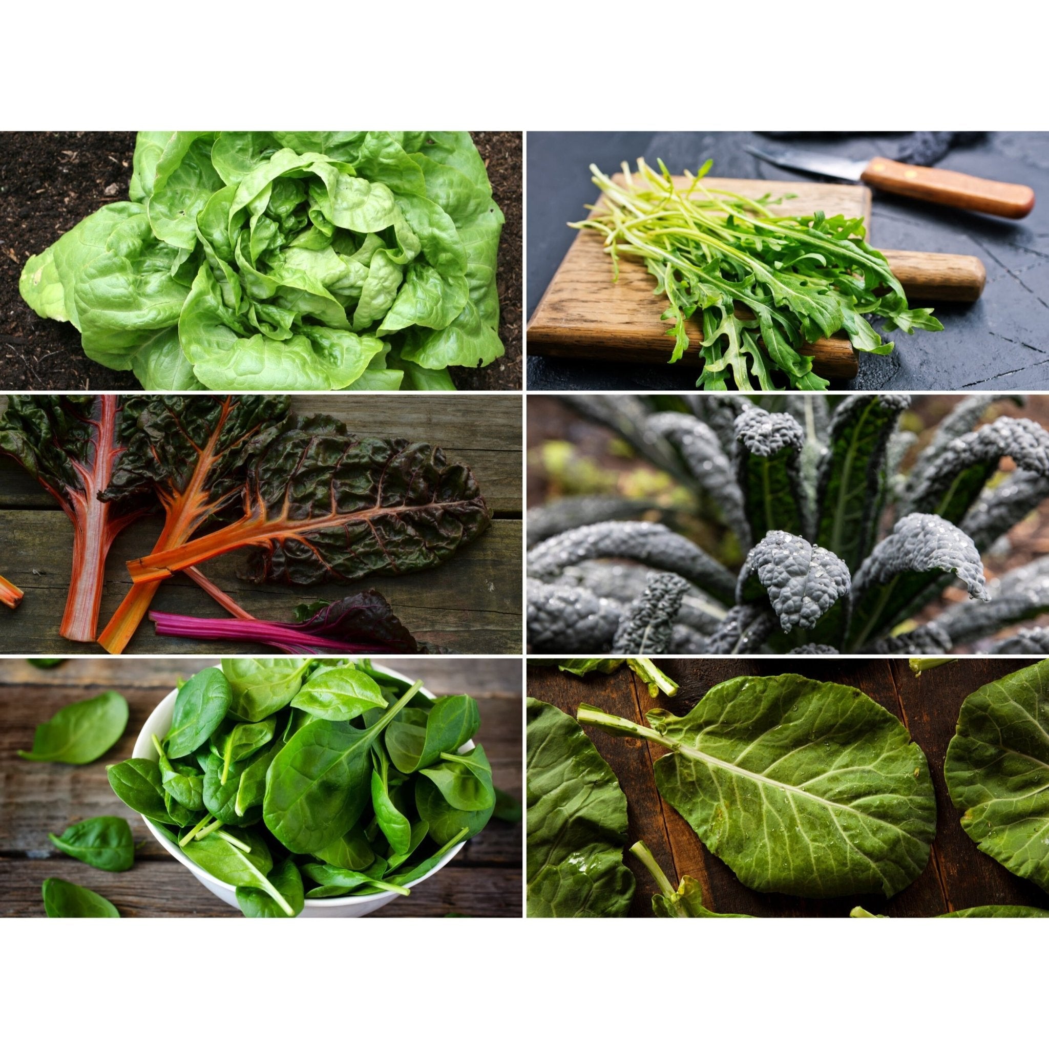 Leafy Greens Seed Collection – 6 Varieties