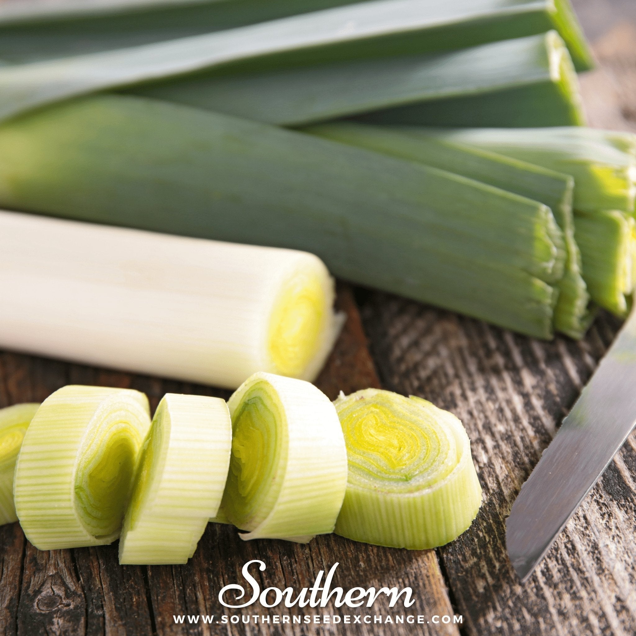 Giant Musselburgh Leek – 200 Seeds