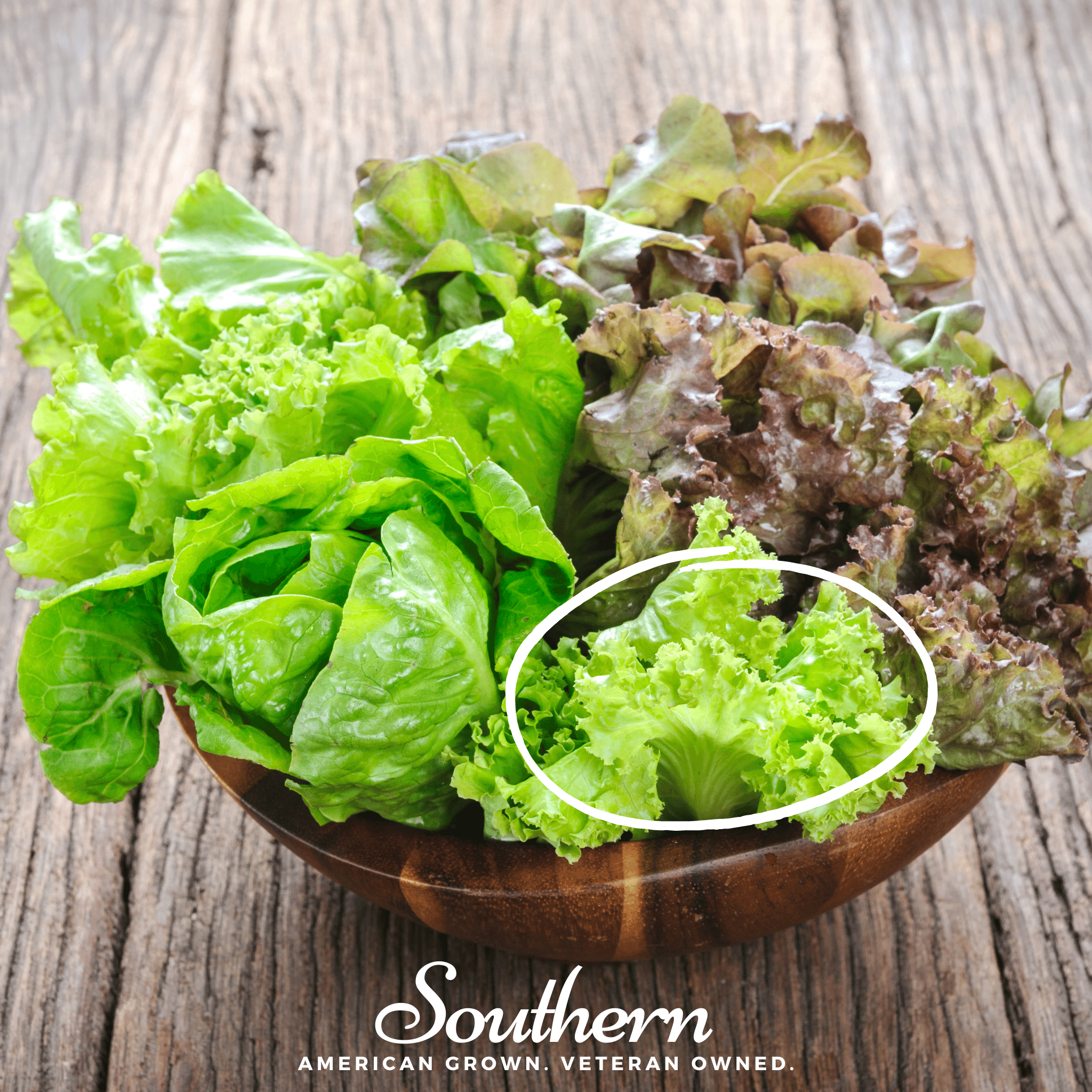 Green Ice Lettuce – 500 Seeds