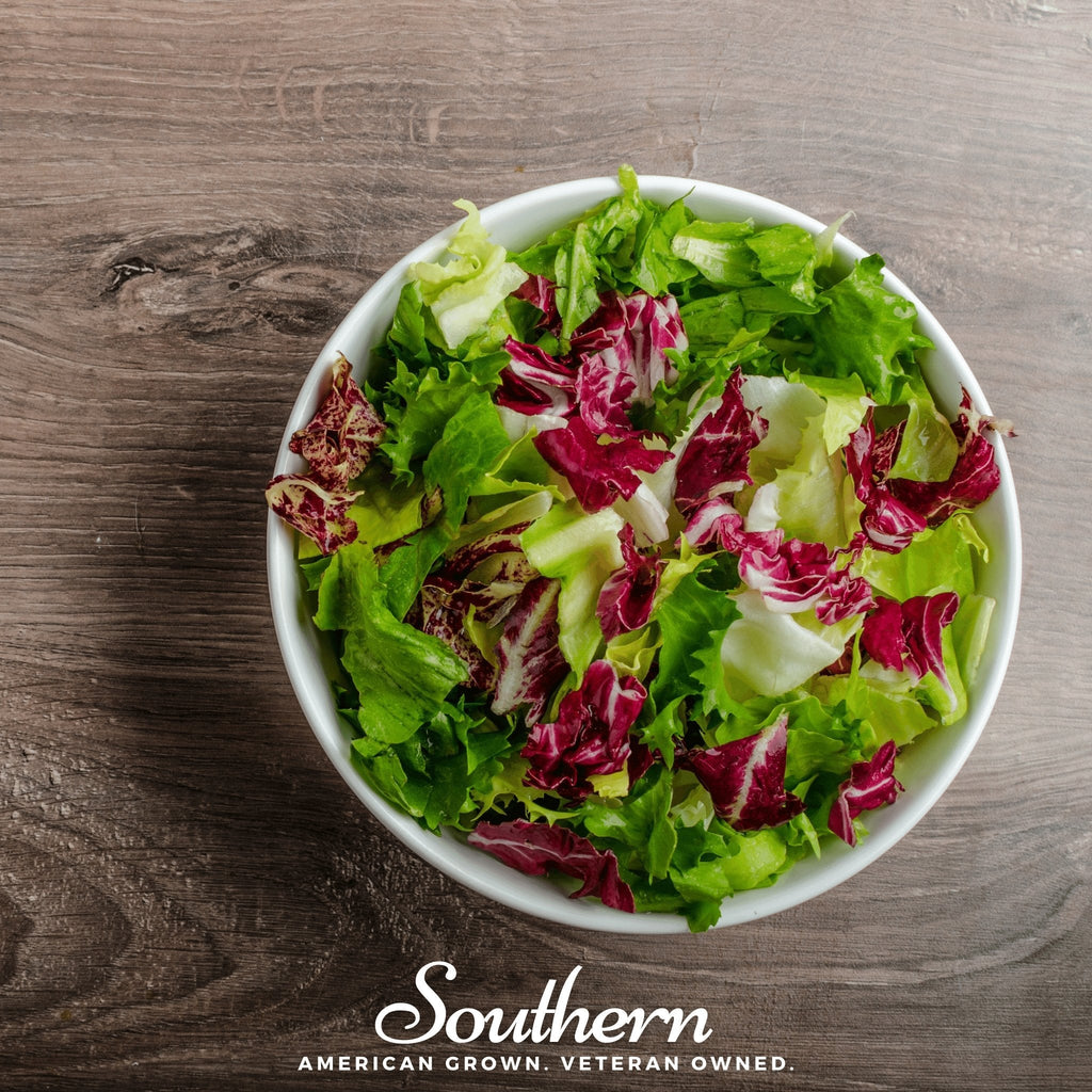 Mesclun Mix Lettuce – 500 Seeds