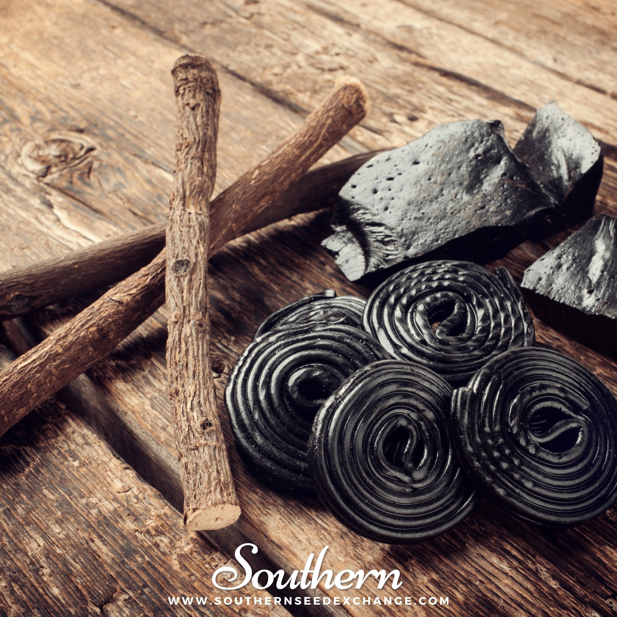 Licorice – 20 Seeds