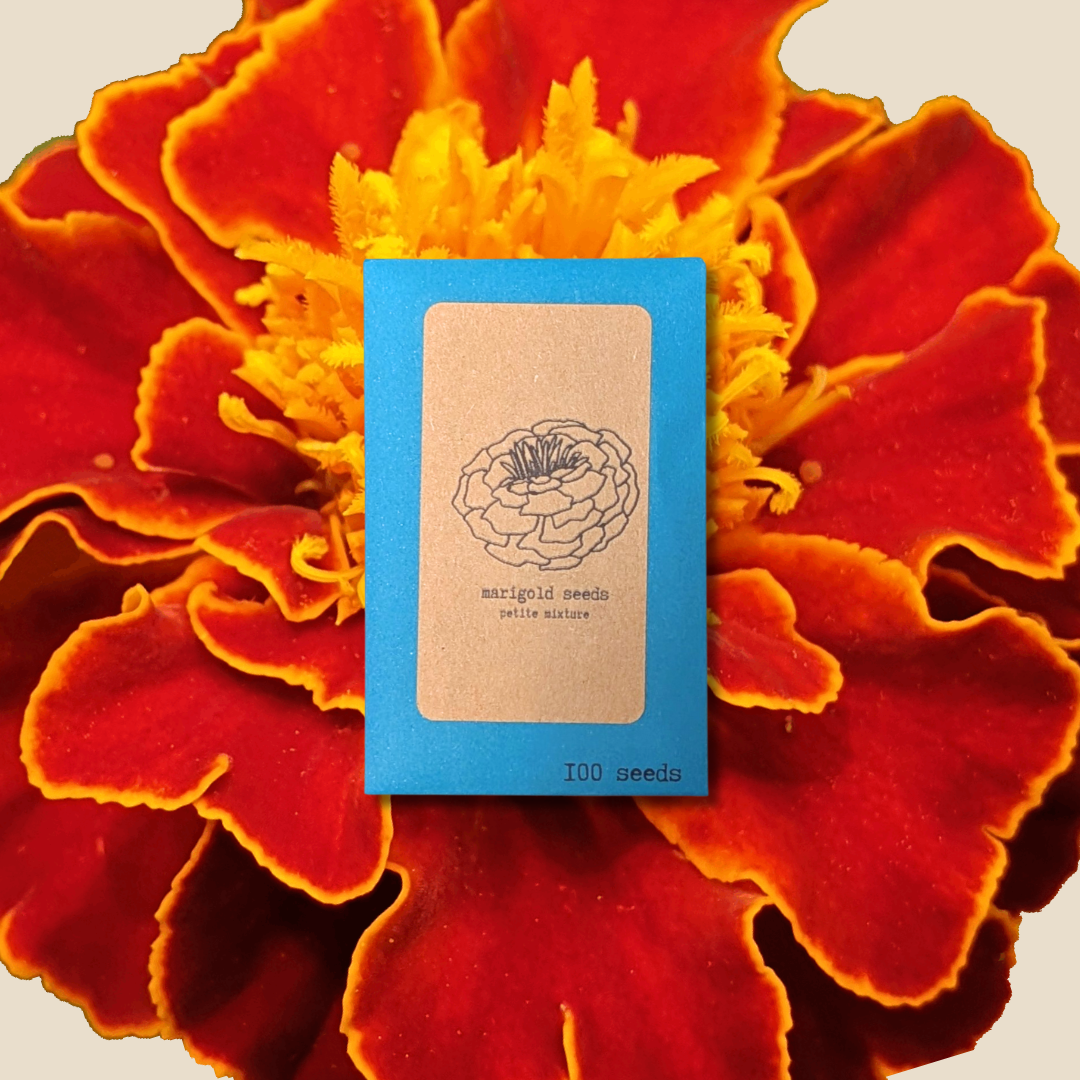 Petite Marigold Seeds