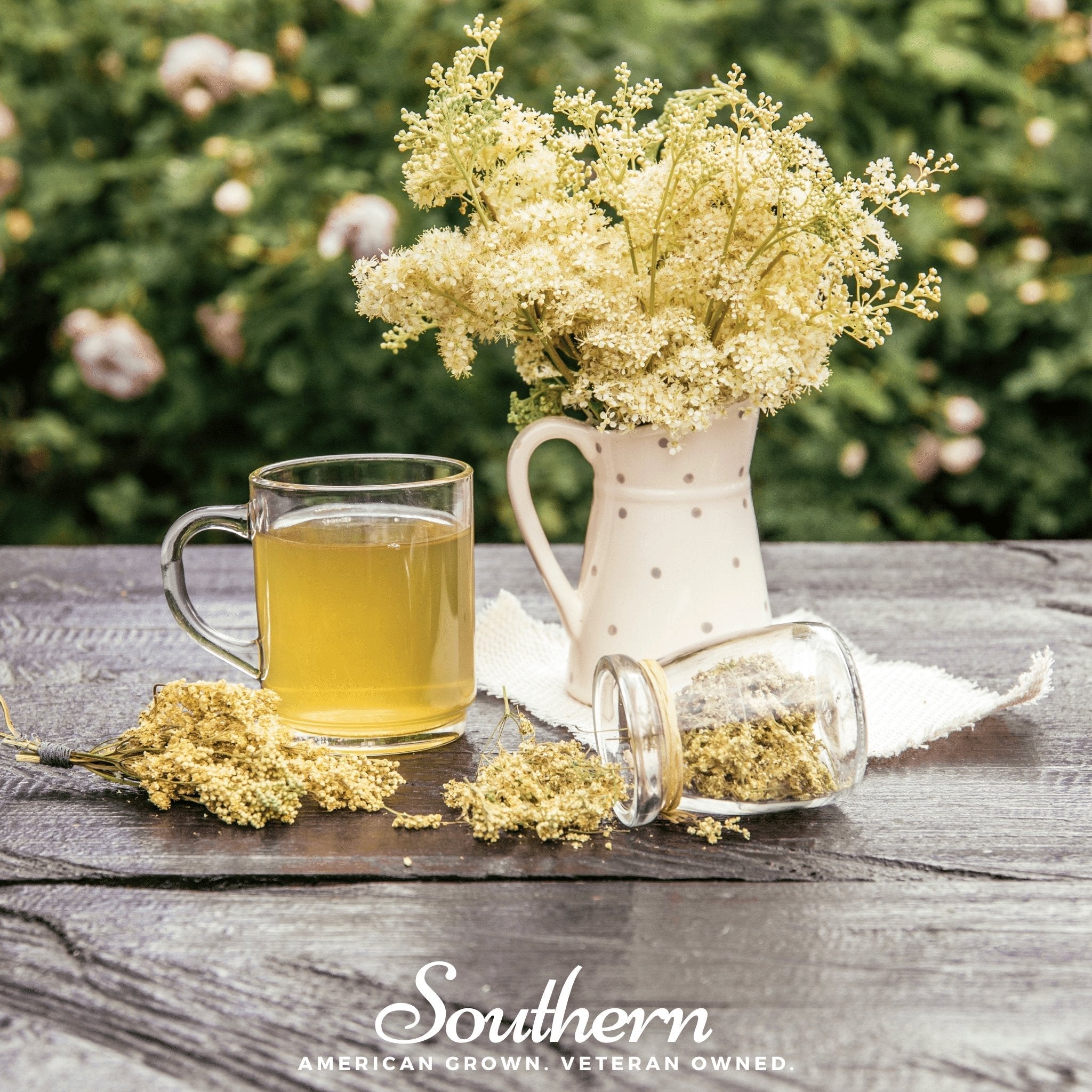 Meadowsweet – 50 Seeds