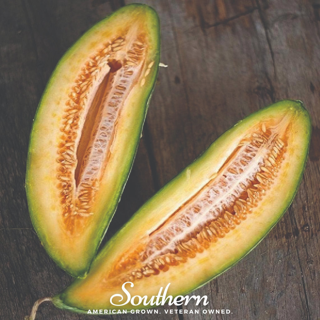 Banana Melon – 20 Seeds
