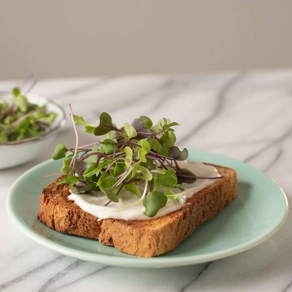 Southern Mild Microgreen Mix – 8 grams