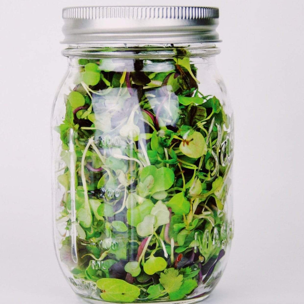 Southern Spice Mix Microgreens – 8 grams