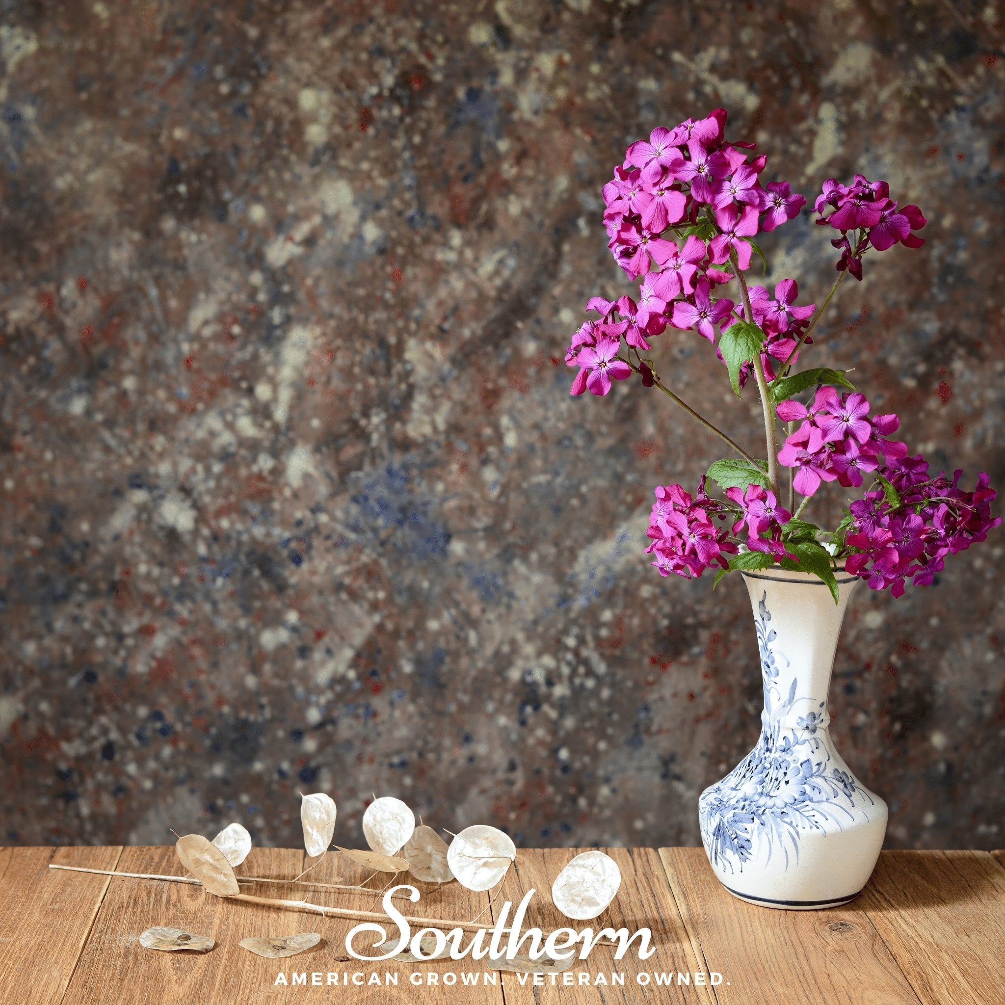 Money Plant – 20 Seeds