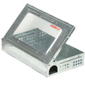 Multiple Catch Mouse Trap w/Window