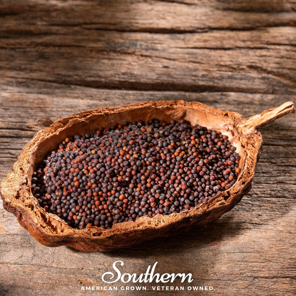 Black Mustard – 500 Seeds