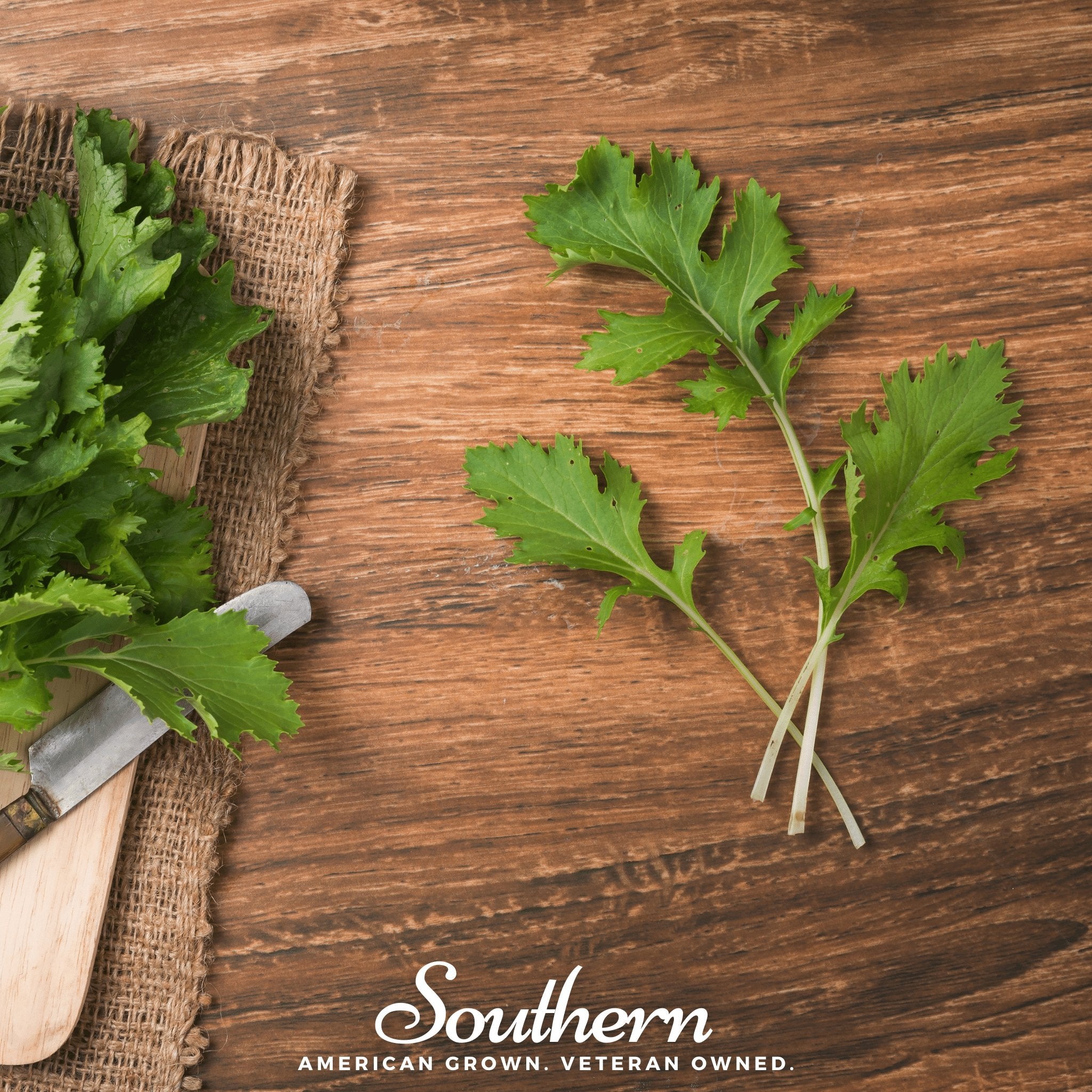 Mizuna Early Mustard – 100 Seeds