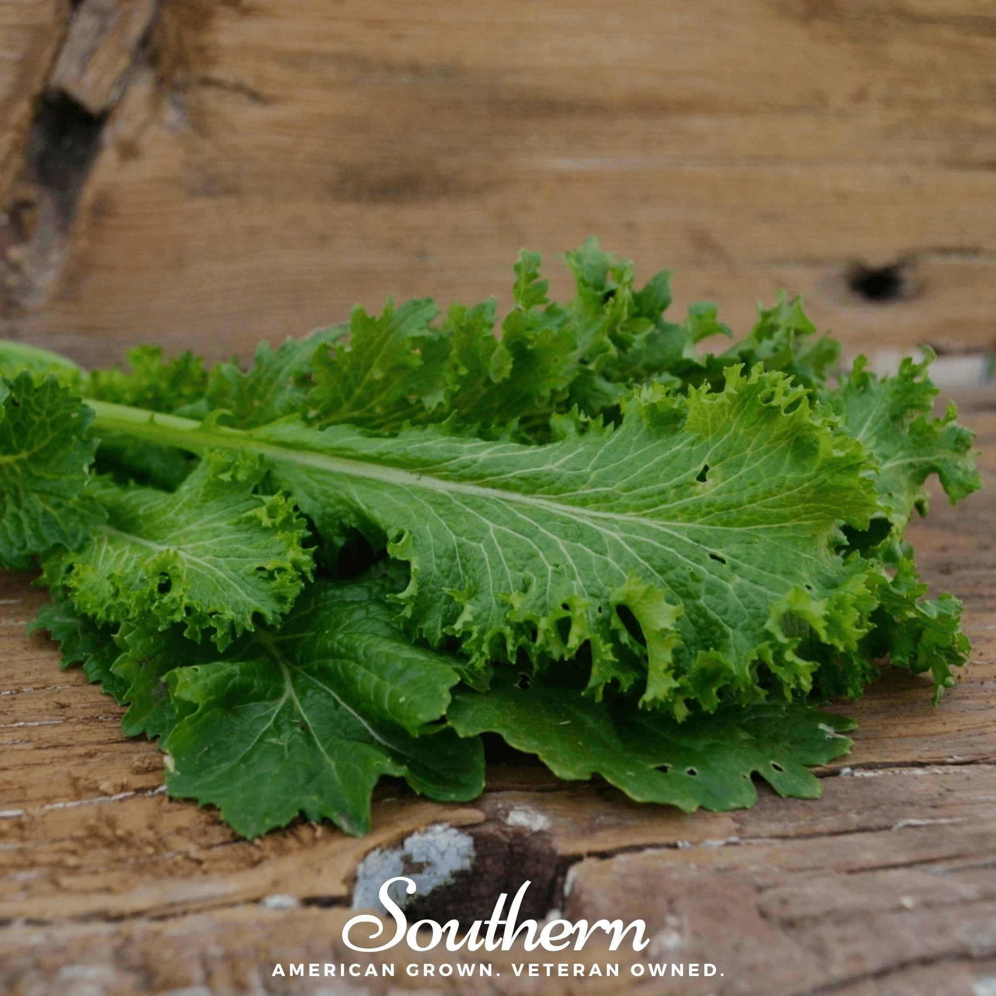 Southern Giant Mustard – 250 Seeds