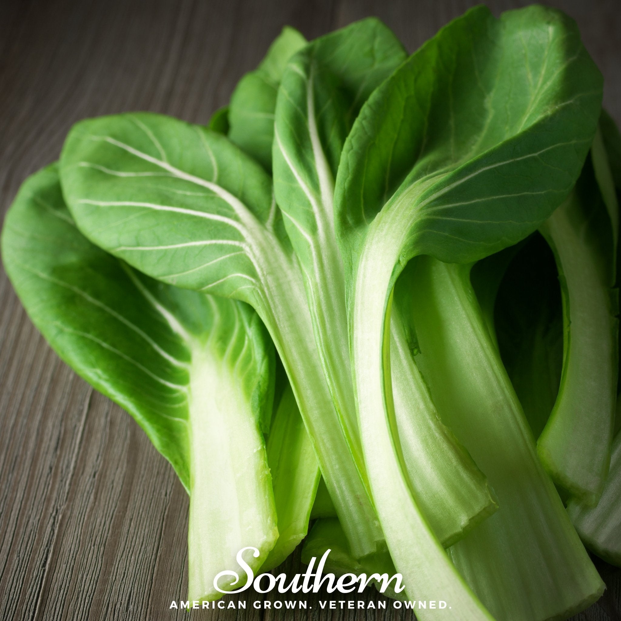 Tatsoi Mustard – 100 Seeds