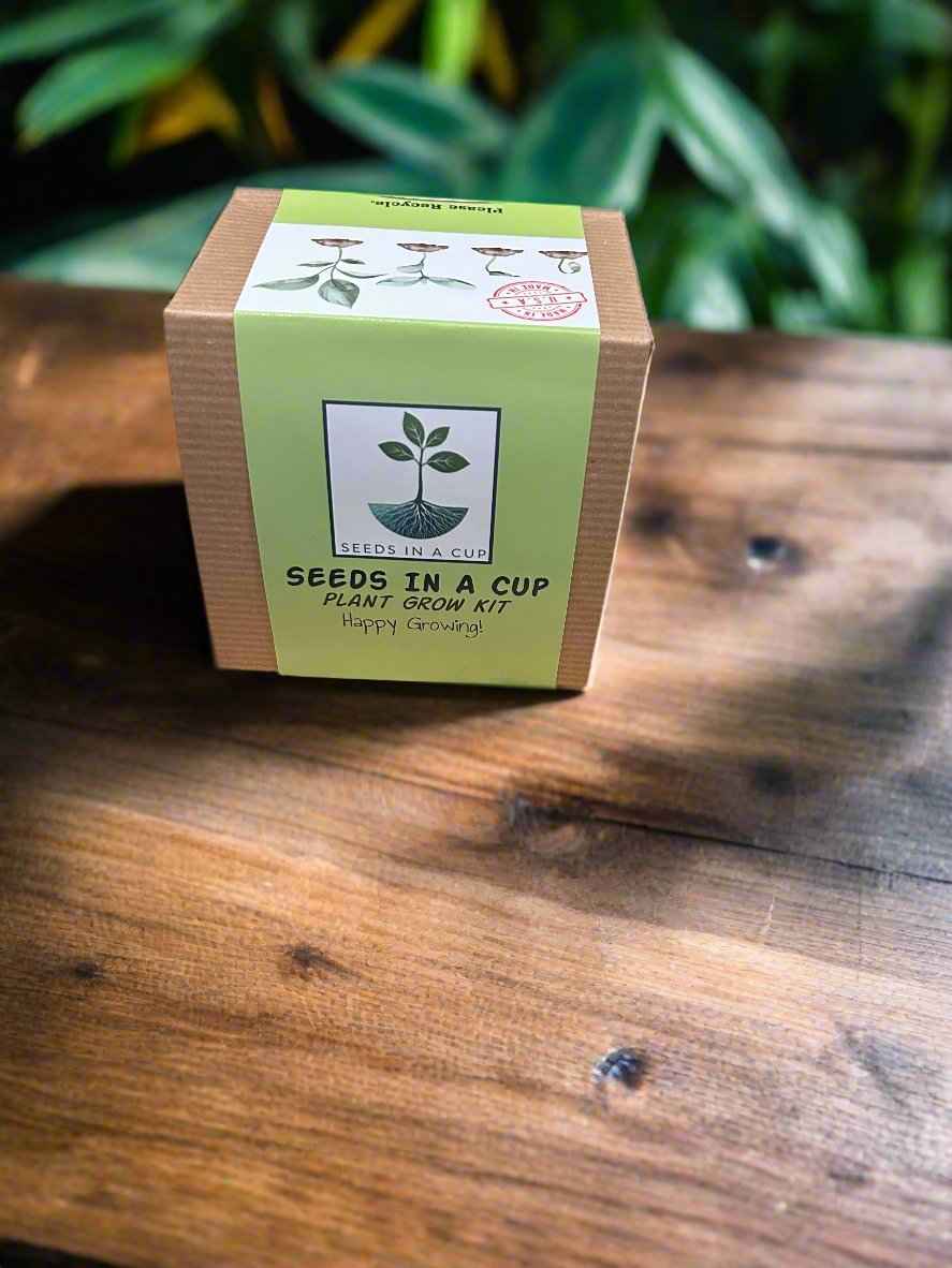 Dogwood Tree Growing Kit - Complete Seed Starter Kit for Your Garden