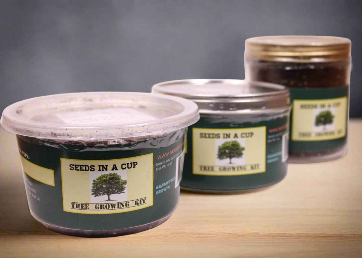Grape Growing Kit - Complete Vine Seed Starter Kit for Home Gardeners