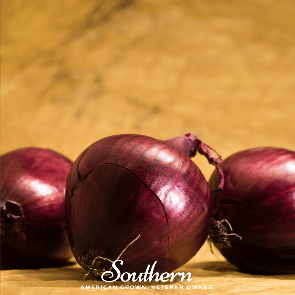 Red Burgundy Onion – 200 Seeds