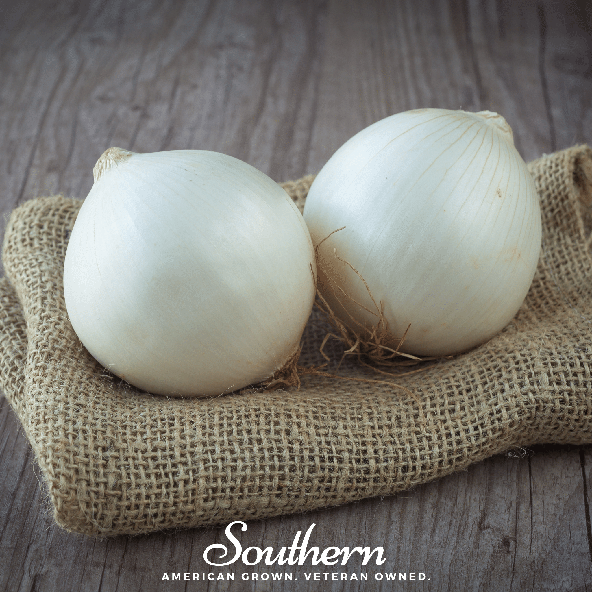 Spanish White Sweet Onion – 200 Seeds