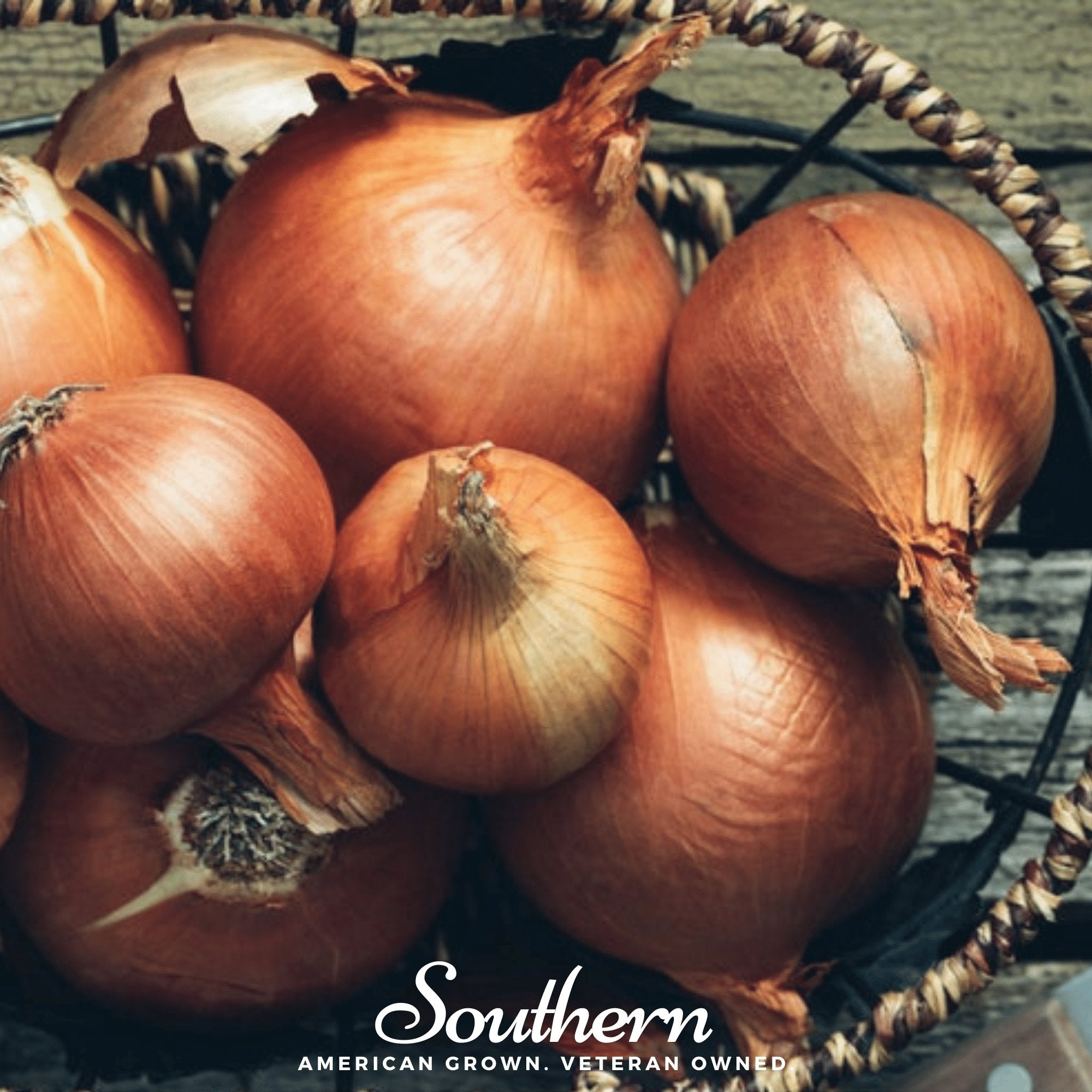 Spanish Yellow Sweet Onion – 200 Seeds