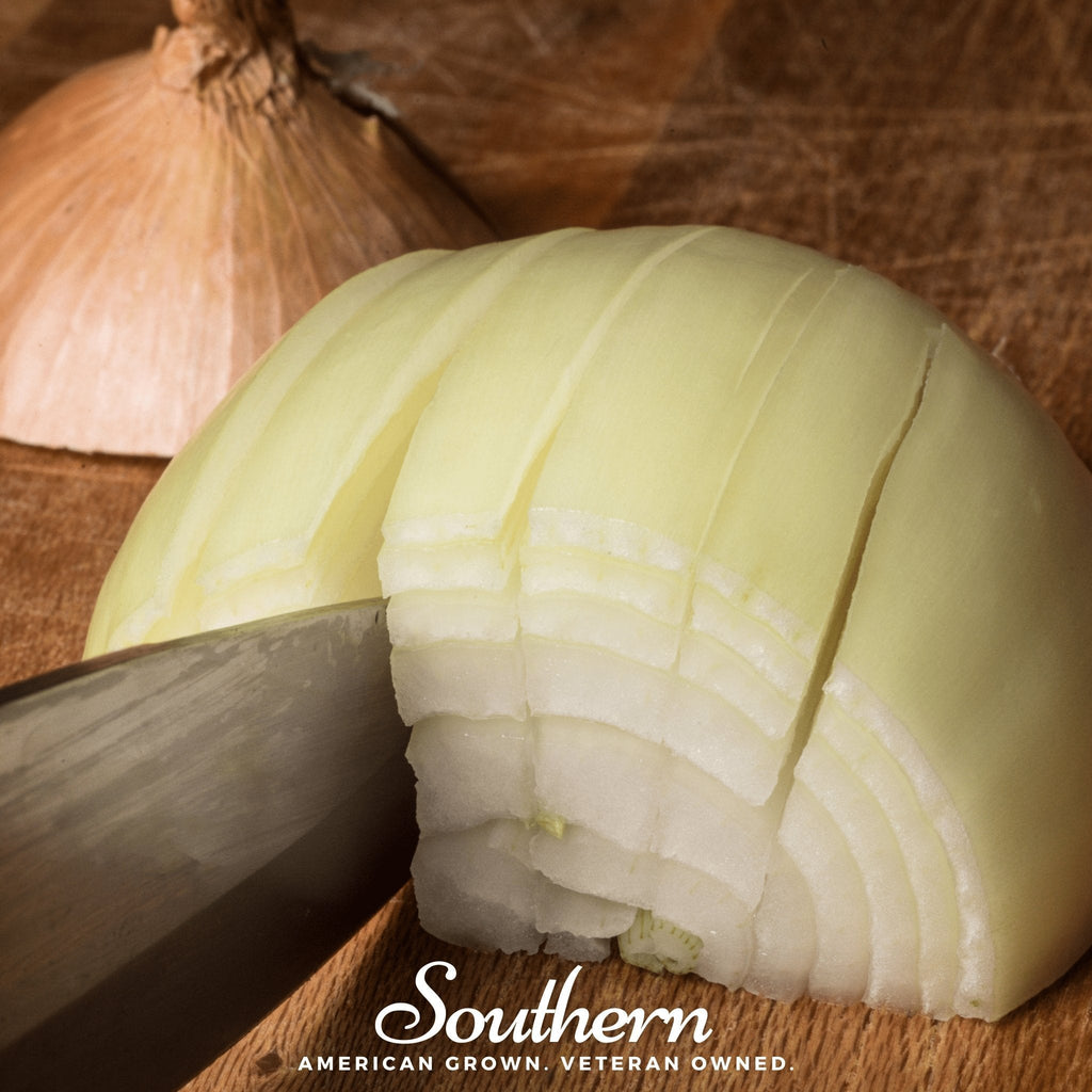 Utah Yellow Sweet Spanish Onion – 200 Seeds