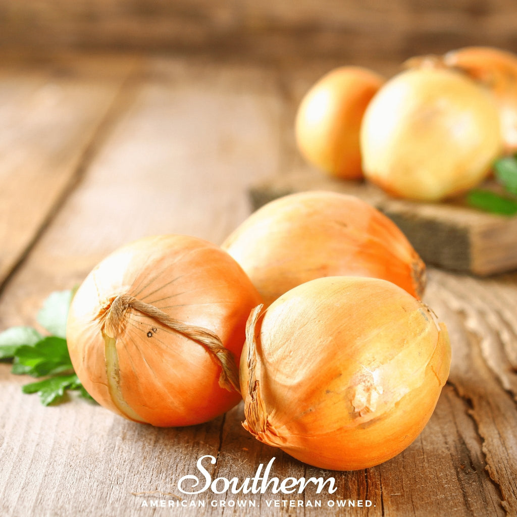 Utah Yellow Sweet Spanish Onion – 200 Seeds