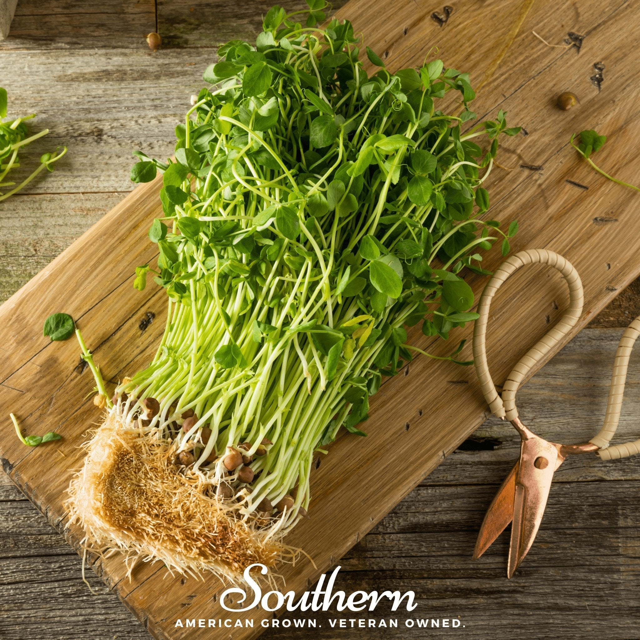 Dwarf Grey Sugar Peas – 100 Seeds