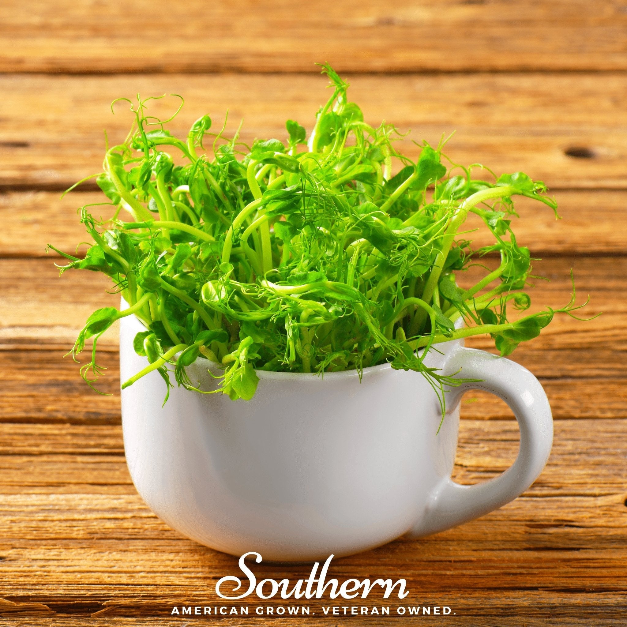 Dwarf Grey Sugar Peas – 100 Seeds